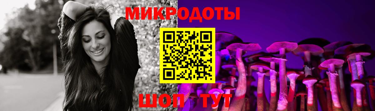 Качканар  Галлюциногенные грибы Cubensis  Вход с VPN 